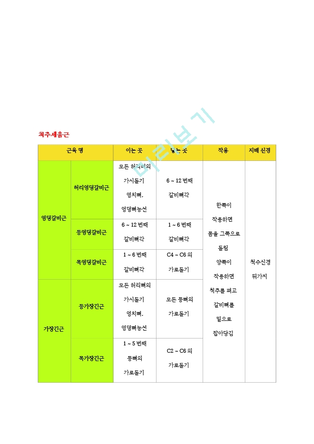 [물리치료 족보] 교재 근육 기시, 정지, 작용, 신경2 (2).hwp